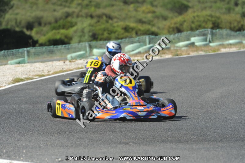 DSC (2833).JPG